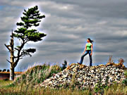 Kelly Larson Rock Pile