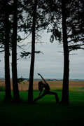 Kelly Larson Trees